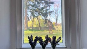 A window with three vases of purple flowers on a windowsill, overlooking a garden with trees and a swing set.