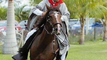 Una persona montando a caballo en un área con césped, con palmeras al fondo.