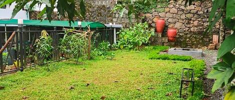 A well-maintained garden area with a stone wall, a green umbrella, and a chair.