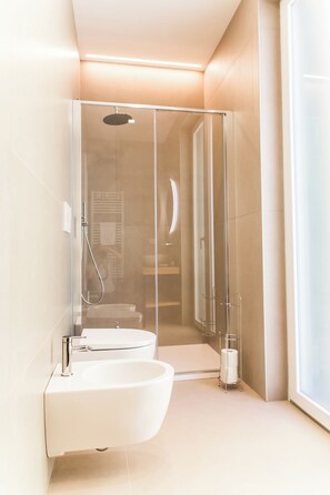 Shower, hair dryer, bidet, towels