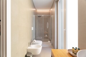 Shower, hair dryer, bidet, towels