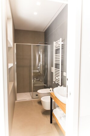 Shower, hair dryer, bidet, towels