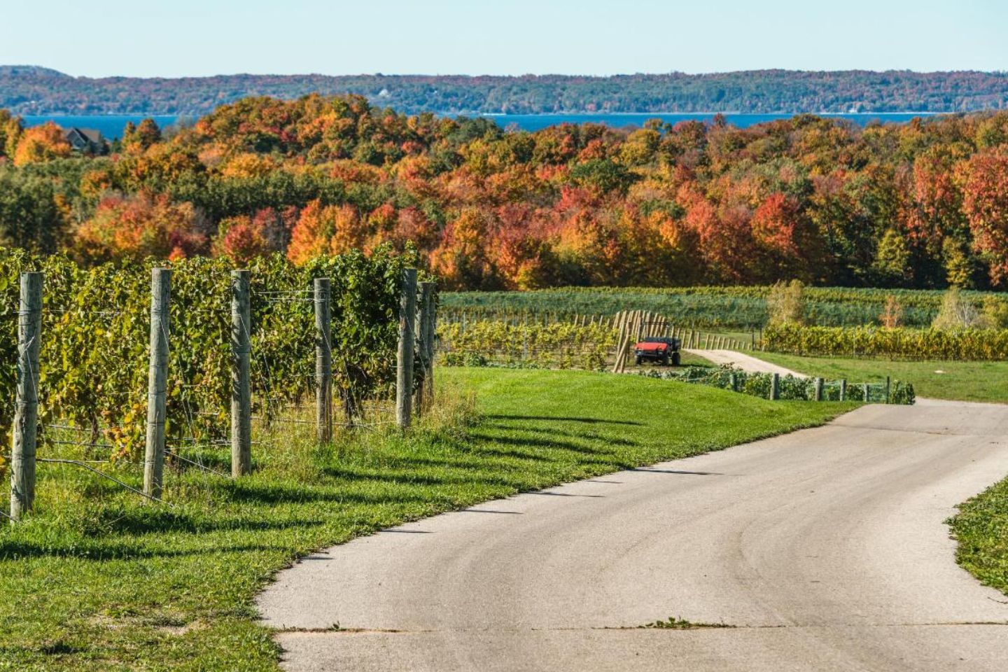 A rural road curving through a vineyard with a red vehicle parked on the side.