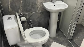 Buồng tắm vòi sen, máy sấy tóc, khăn tắm, xà phòng