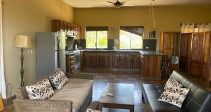 Spacious apartment with ocean view