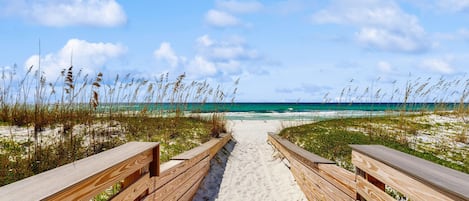 بالقرب من الشاطئ