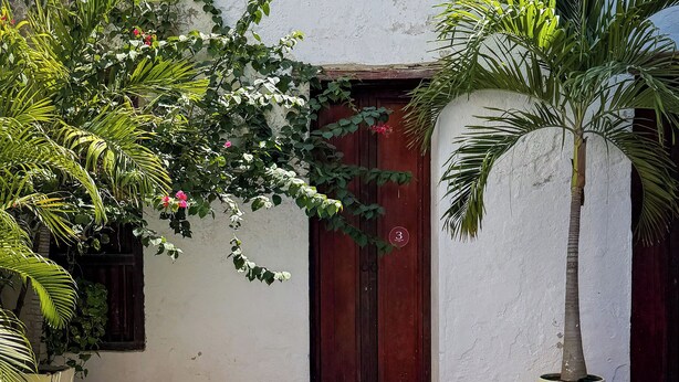 A swimming pool with a tiled edge, a white wall with a wooden door, and potted plants.