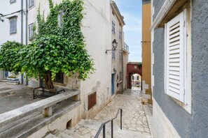Property grounds - Premium Apartment MiDa Vrsar, Istria (Vrsar)