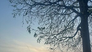 Auringonlaskunäkymä, jossa on kivimuuri ja puu etualalla.