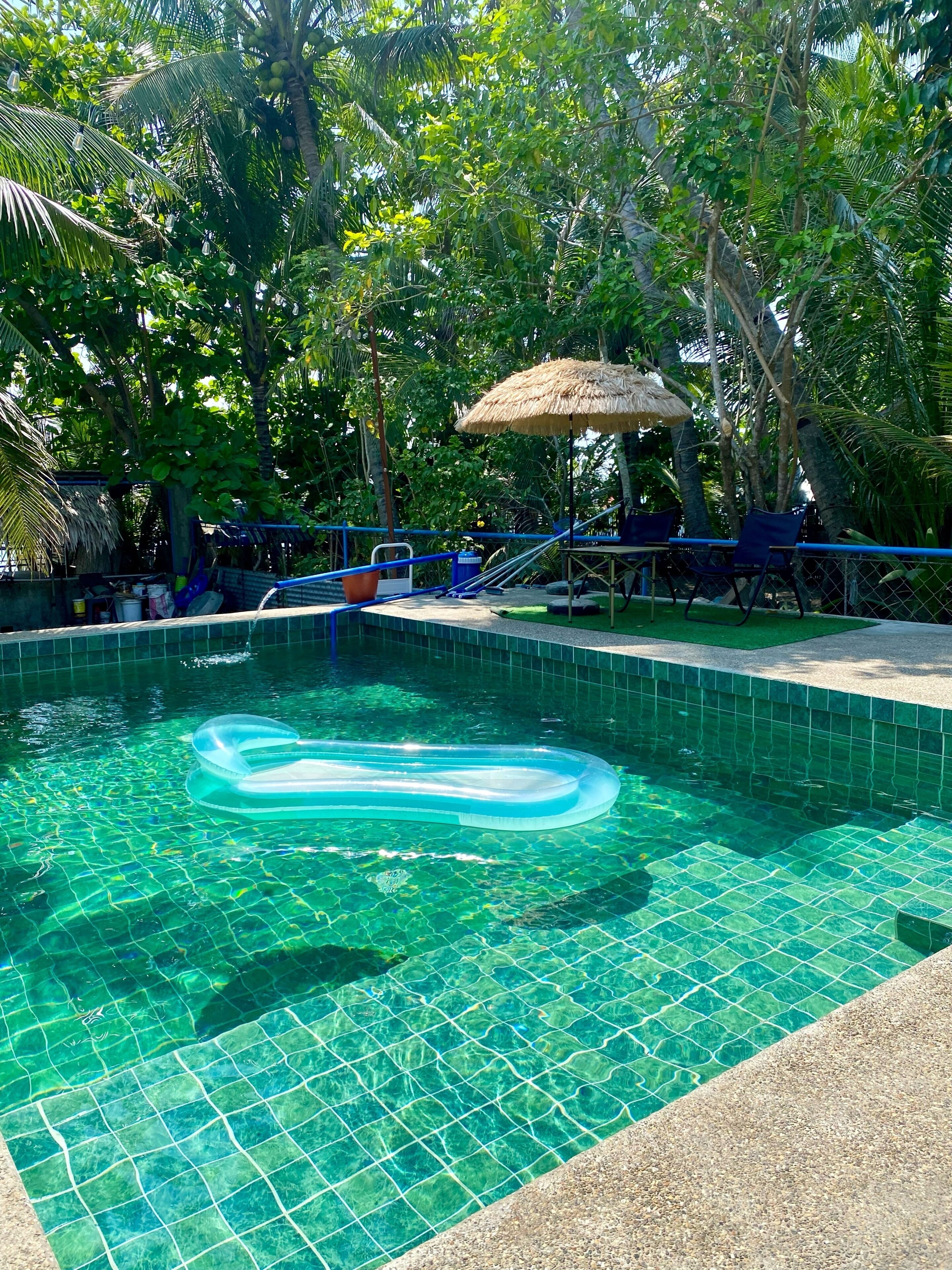 Piscina cristalina con sombrilla de paja, rodeada de exuberante follaje y un suelo de baldosas.