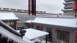 庭園