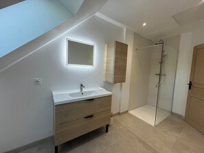Shower, towels, toilet paper
