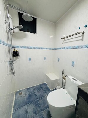 Shower, bidet, towels, soap