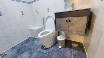 Shower, bidet, towels, soap