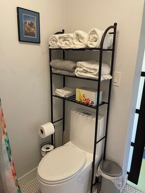 Douche, serviettes fournies, papier toilette