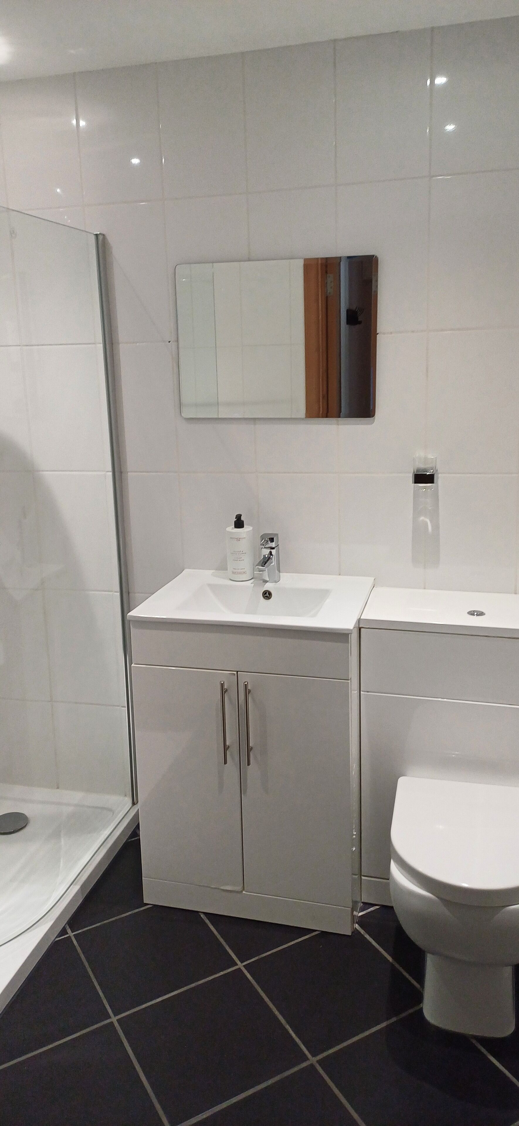 Une salle de bain moderne avec une douche à parois de verre, un lavabo blanc et des toilettes.