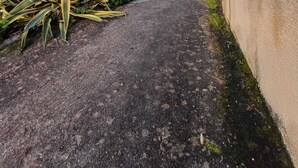 Un chemin pavé mène à un bâtiment doté d’un toit en pente et d’un petit espace patio.