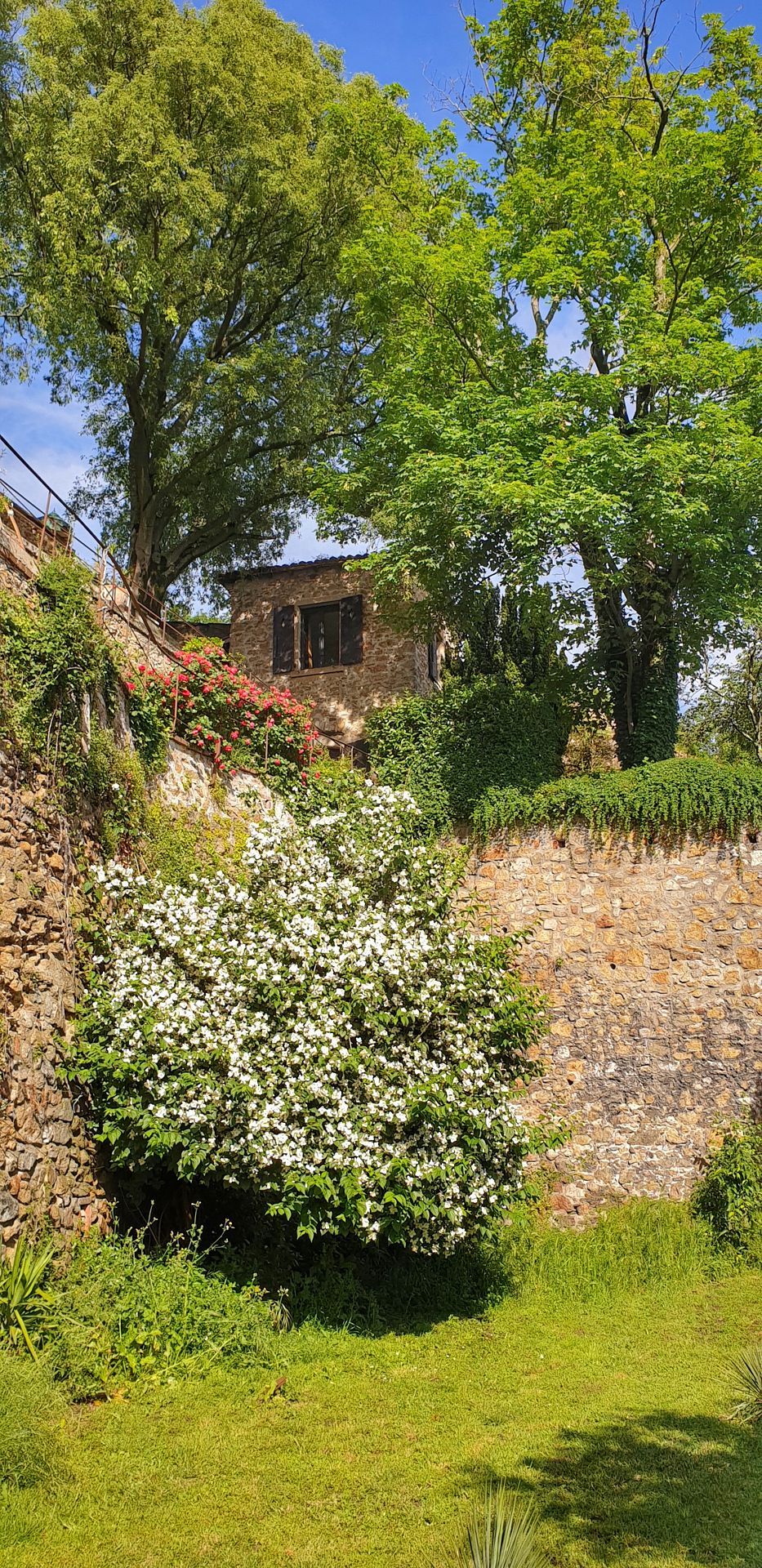 Un bâtiment en pierre, doté d’un mur en pierre et agrémenté d’un arbuste aux fleurs blanches.