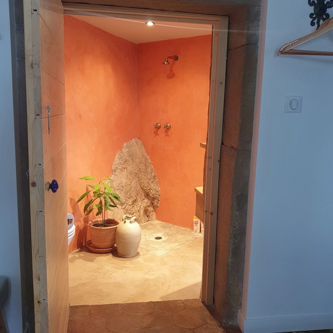 Ein Badezimmer mit orangefarbener Wand, einer Dusche und einem Blumentopf.