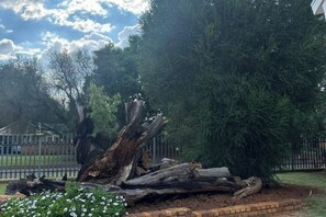 Áreas de la propiedad