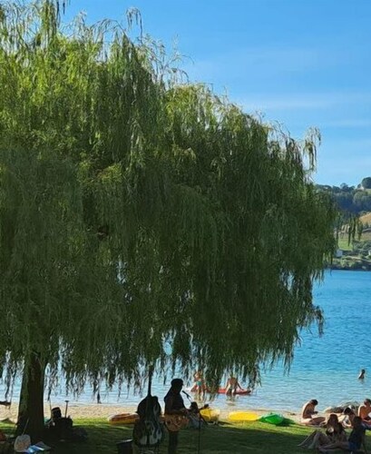 L'HERMITAGE maisonnette lake view / beach 5 min walk