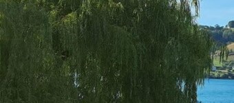 L'HERMITAGE maisonnette lake view / beach 5 min walk