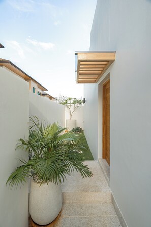 A narrow pathway leading to a wooden door, flanked by white walls and a potted plant.