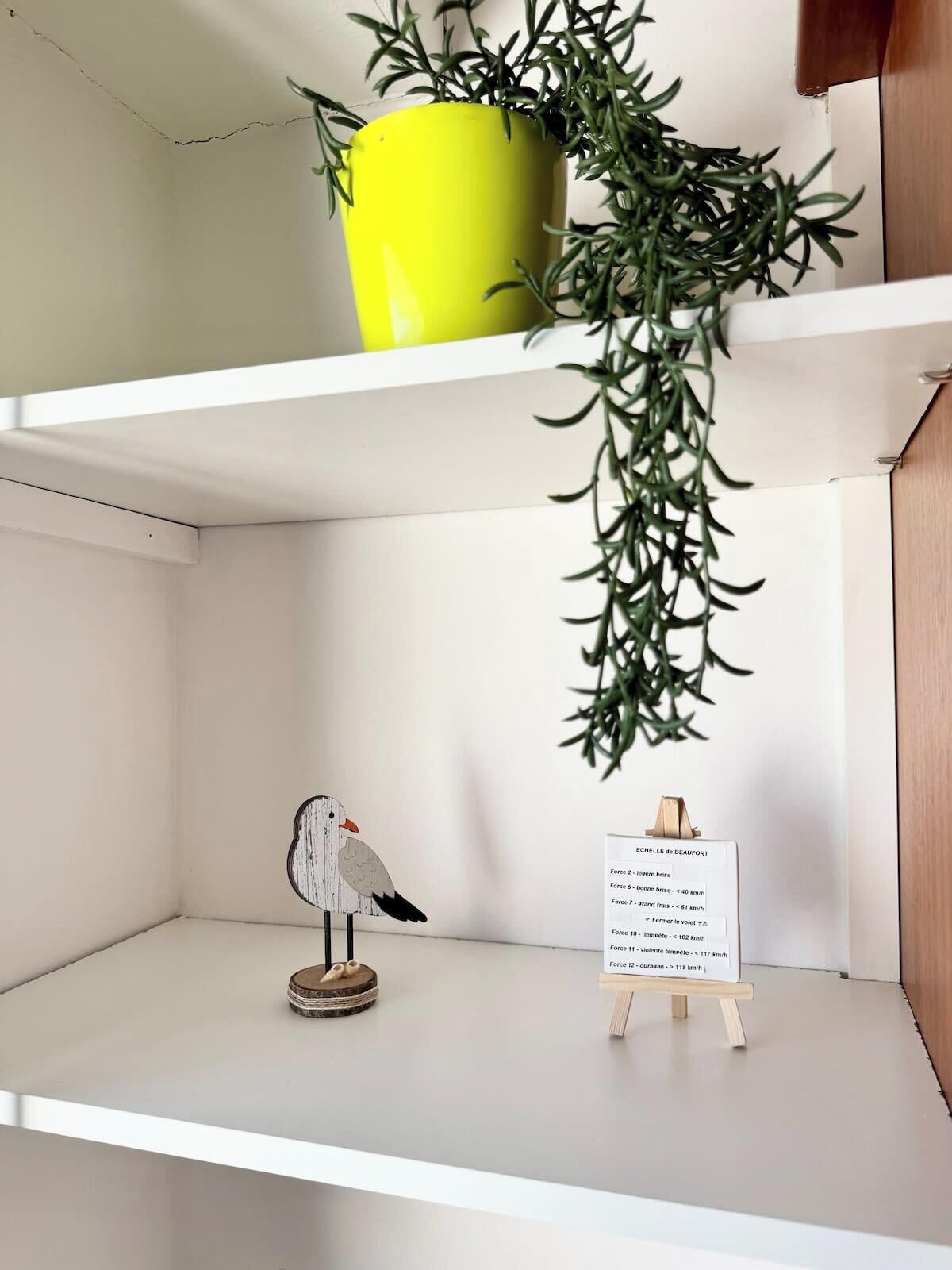A shelf with a small bird figurine, a potted plant, and a wooden easel with a sign.