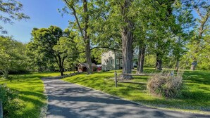 A paved pathway leading to a building with a large tree in the foreground.