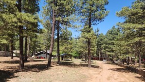 Ein Campingplatz mit mehreren Holzhütten, einem Picknickbereich und einem Feldweg.