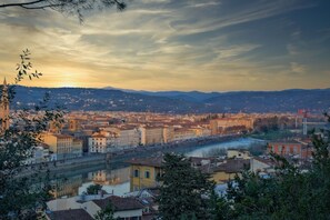 Vista panorámica de una ciudad con un río, edificios históricos y una cordillera distante.