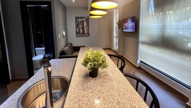 Una cocina moderna con encimera de granito, pileta de acero inoxidable y una planta en maceta.