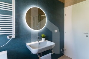 Shower, hair dryer, bidet, towels