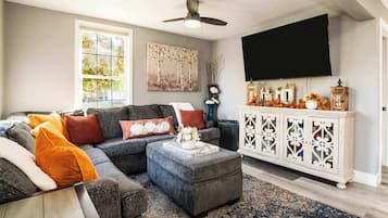 Televisor, llar de foc, llibres i oficines