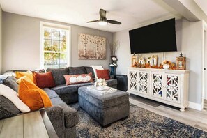 Télévision, cheminée, livres, espaces bureaux