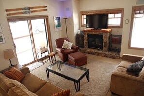 TV, fireplace, books