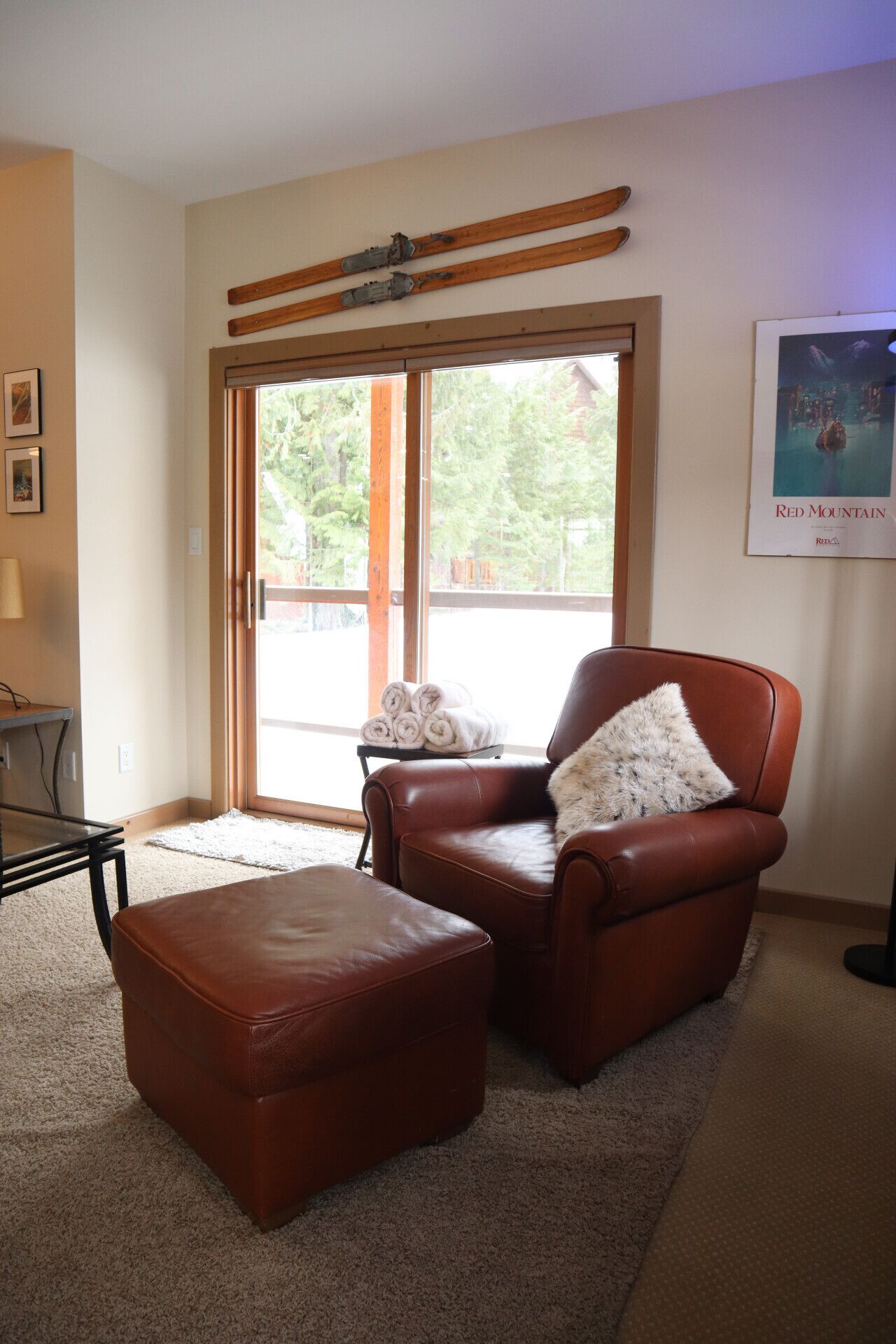 Una televisión, una chimenea, libros