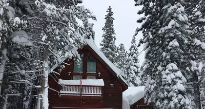 Delightful Donner Studio - newly redesigned 720 sq. ft. studio in Truckee, CA