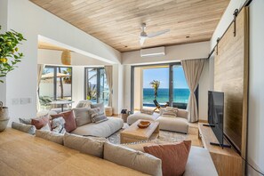 Smart TV, fireplace, books, stereo