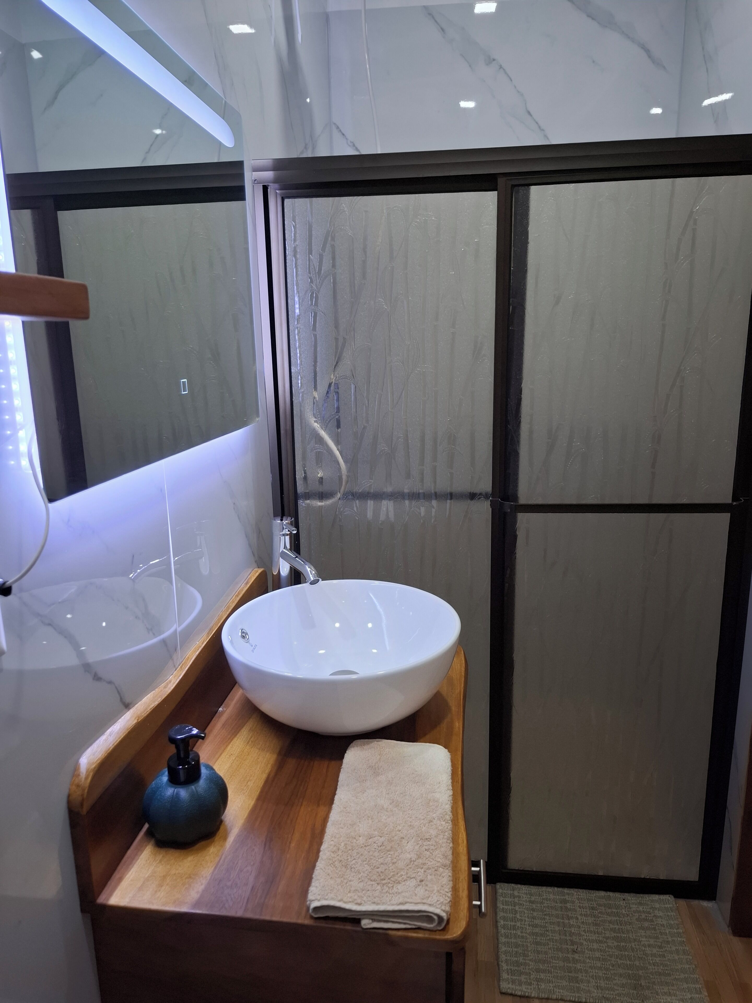 Hair dryer, towels, soap, shampoo