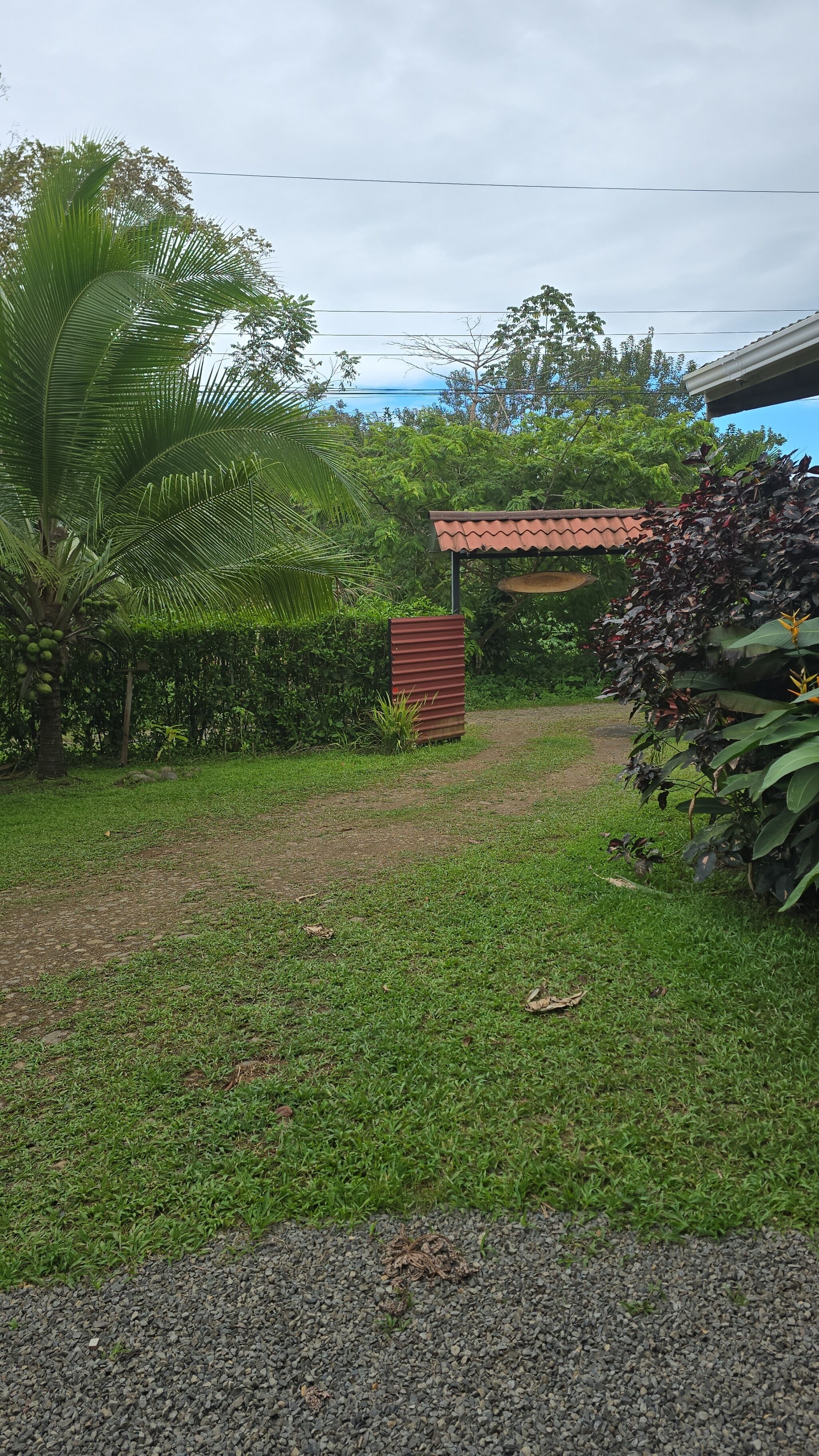 Un jardín con un sendero de grava, palmeras y una estructura metálica roja.