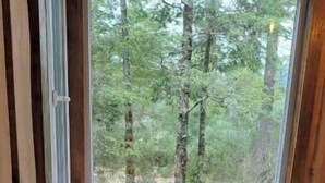 En stuga med träpanel på insidan, där en bäddsoffa står placerad framför ett fönster med utsikt över en skog.