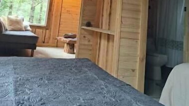 En stuga med träpanel på insidan, inredd med en säng, en soffa och ett fönster med utsikt över en skog.