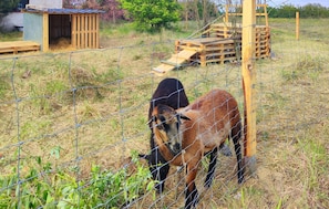 Property grounds - Awesome home in Kolsko (Kolsko)