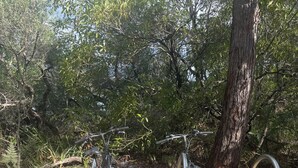 Two bicycles parked on a yellow mat with a metal bike rack in a wooded area. - 
Serene Getaway (Callala Beach)