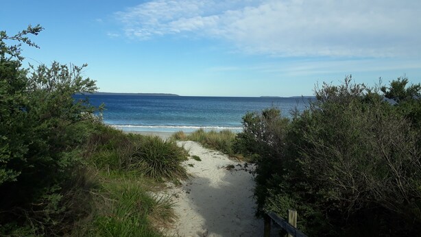 A beach path leading to the ocean with dense foliage on either side. - 
Serene Getaway (Callala Beach)