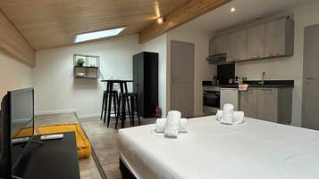 1 slaapkamer, een strijkplank/strijkijzer, wifi, beddengoed