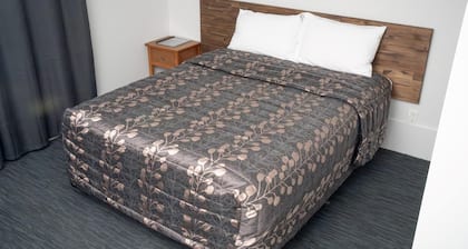 Superior Queen Room Studio