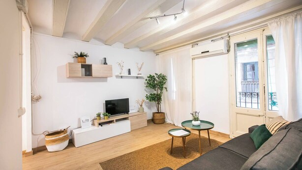Een moderne woonkamer met een flatscreen televisie, houten vloer, een bank en een potplant.