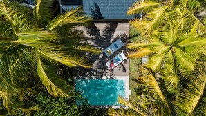 Una piscina en la azotea rodeada de palmeras, con una vista despejada del cielo y un edificio al fondo.